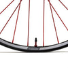 Wanderer Carbon