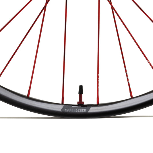 Wanderer Carbon