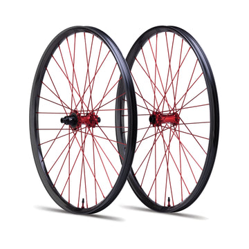 Wanderer Carbon