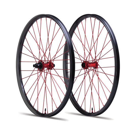 Wanderer Carbon