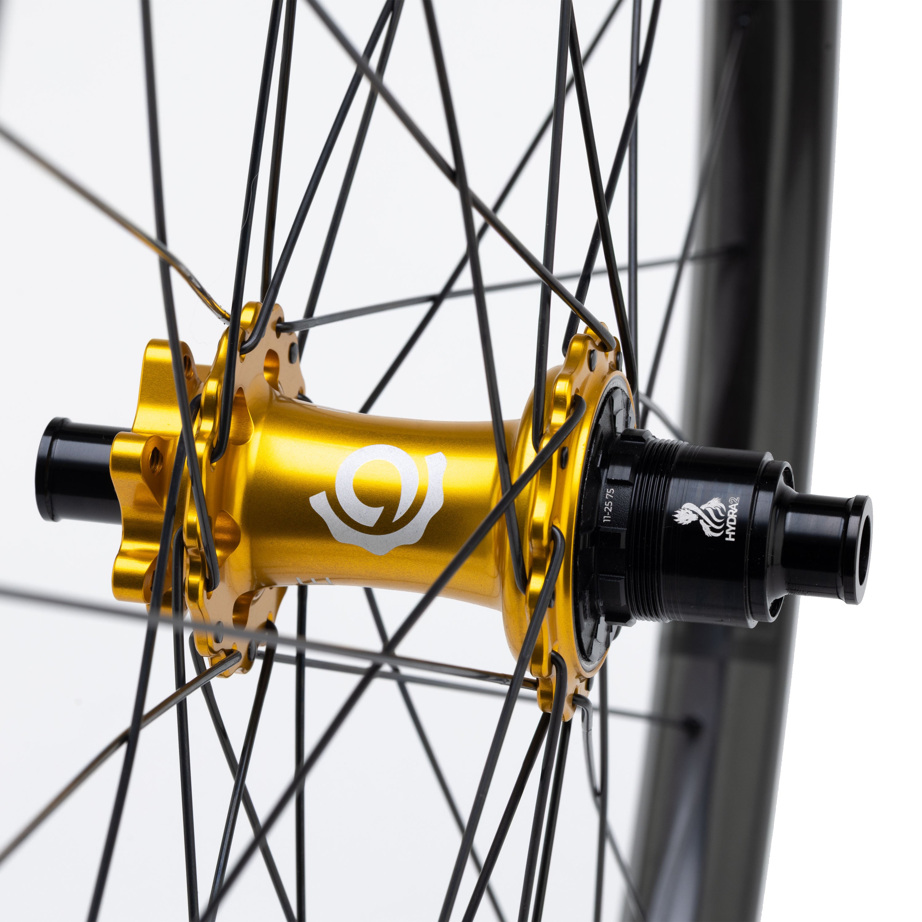 Wanderer Carbon – Industry Nine
