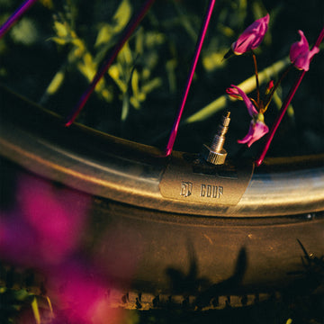 COUP CARBON RIMS