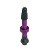 Tubeless Aluminum Valve Kit