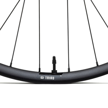 Triad AL-1/1-29"-Rear Wheel-6 Bolt-Black Hub-Black Spoke-Black Nipples-12 x 148-HG
