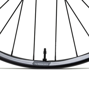 Wanderer CR-System Hydra2-29"-Rear Wheel-6 Bolt-Red Hub-Purple Spoke--12 x 135-Single Speed