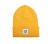Cuffed Knit Beanie