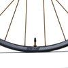 Whisp Carbon